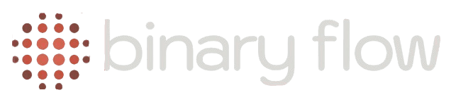 BinaryFlow logo